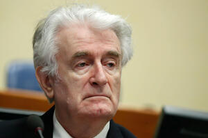 Tužioci: Karadžić ispravno osuđen za genocid u Srebrenici i teror...