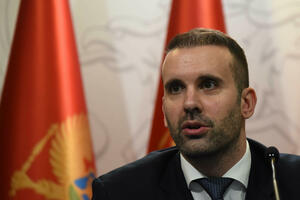 Koalicija NVO: Spajić da se izjasni predlaže li Vlada amandmane na...