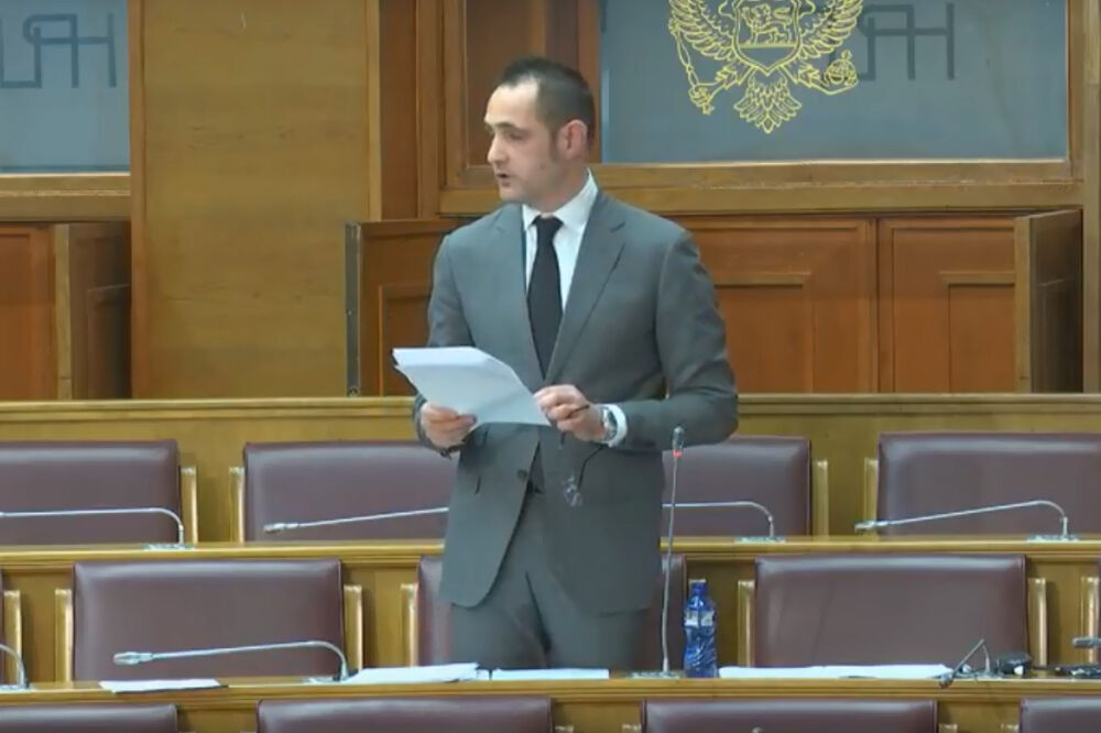 pavle radulović, Foto: Screenshot (Youtube)