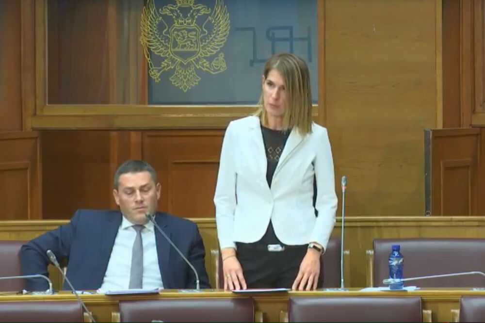 Arijana Nikolić Vučinić, Foto: Screenshot (Youtube)