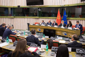 POSP: EP očekuje napredak Crne Gore u oblasti vladavine prava