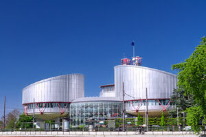 Evropski sud za ljudska prava uvodi posebne mjere