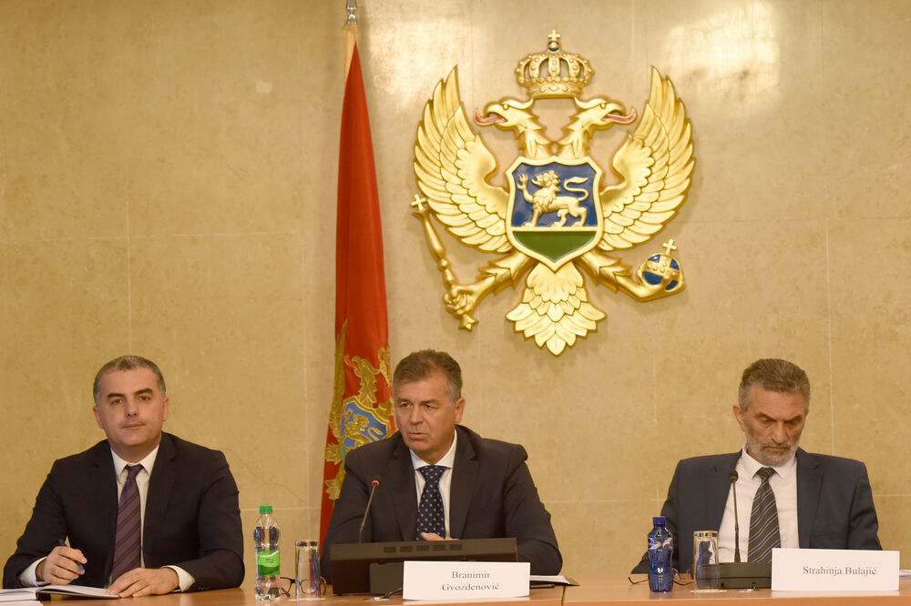 Odbor za reformu izbornog i drugog zakonodavstva, Branimir Gvozdenović, Strahinja Bulajić, Foto: Savo Prelević
