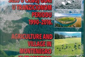 Kako je loša politika ispraznila crnogorska sela