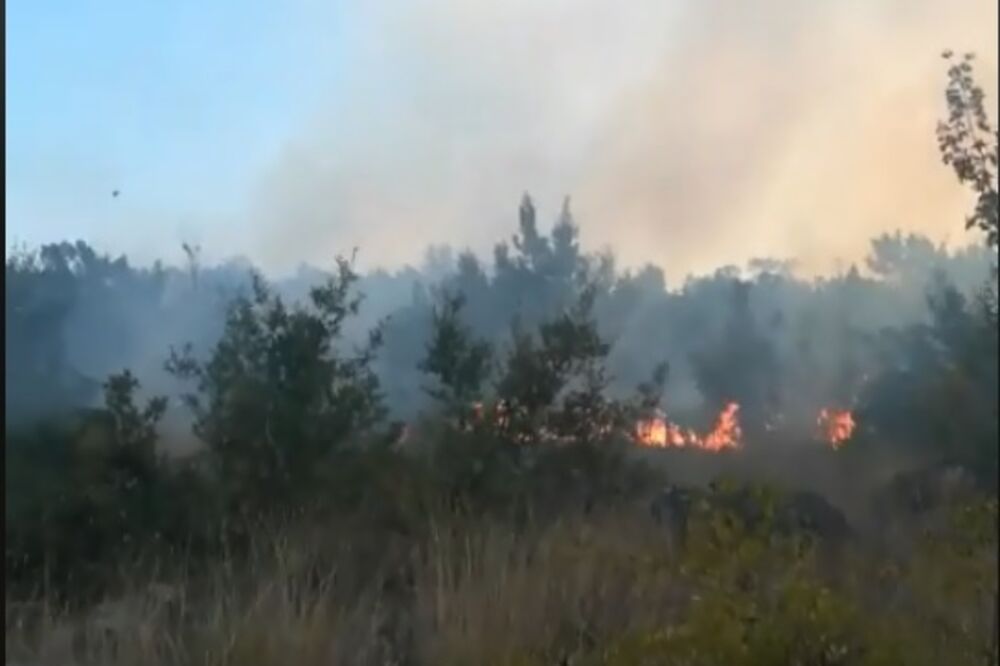 požar Rogami, Foto: Screenshot (TV Vijesti)