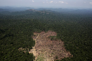 Brazil odbio naftnu kompaniju koja želi da eksploatiše Amazoniju