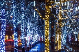 Prijestonica Cetinje: Građani, ne uništavajte novogodišnje ukrase
