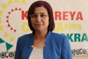 Prokurdska stranka: Više od 160 zatvorenika u Turskoj stupilo u...