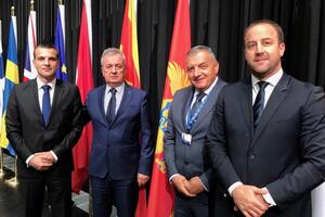 Nikolić: Crna Gora će pristupiti EU prije okvirnog roka