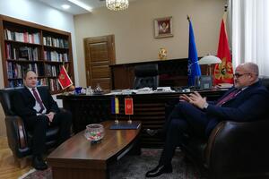 Darmanović: Podrška rješavanju ukrajinske krize diplomatskim putem