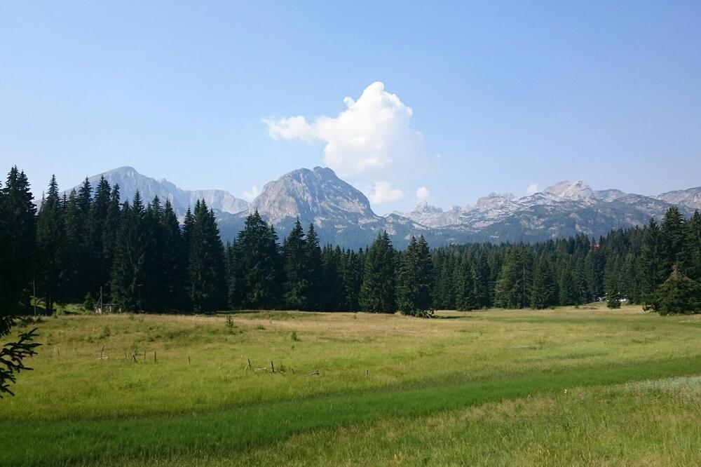 Durmitor, NP Durmitor, NP "Durmitor", Foto: Obrad Pješivac