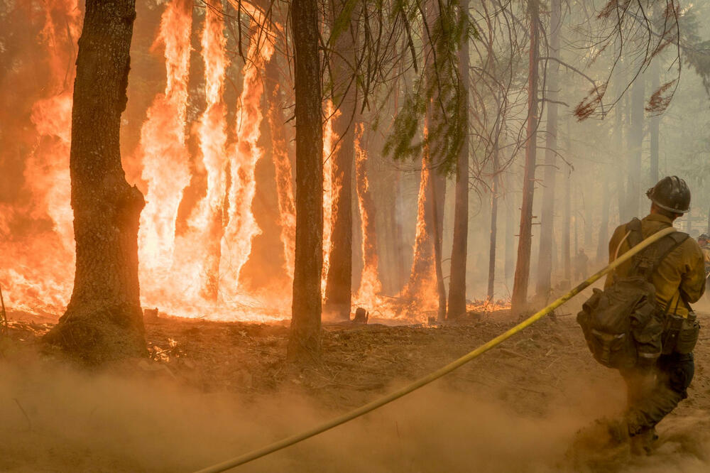 požar SAD, Foto: Reuters