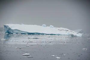 Upozorenje stručnjaka: Led na Antarktiku se ubrzano topi
