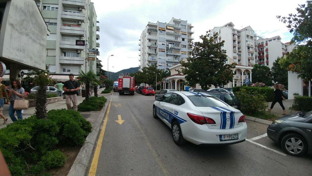 Tivat, drama