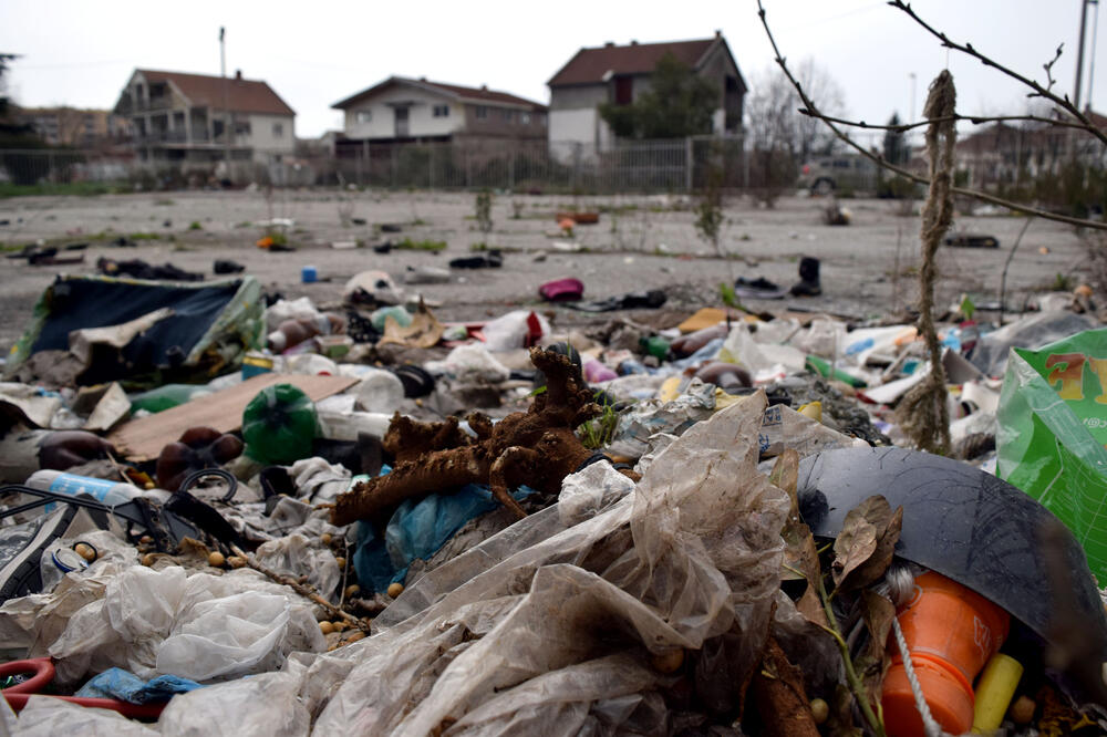 Konik, Foto: Luka Zeković