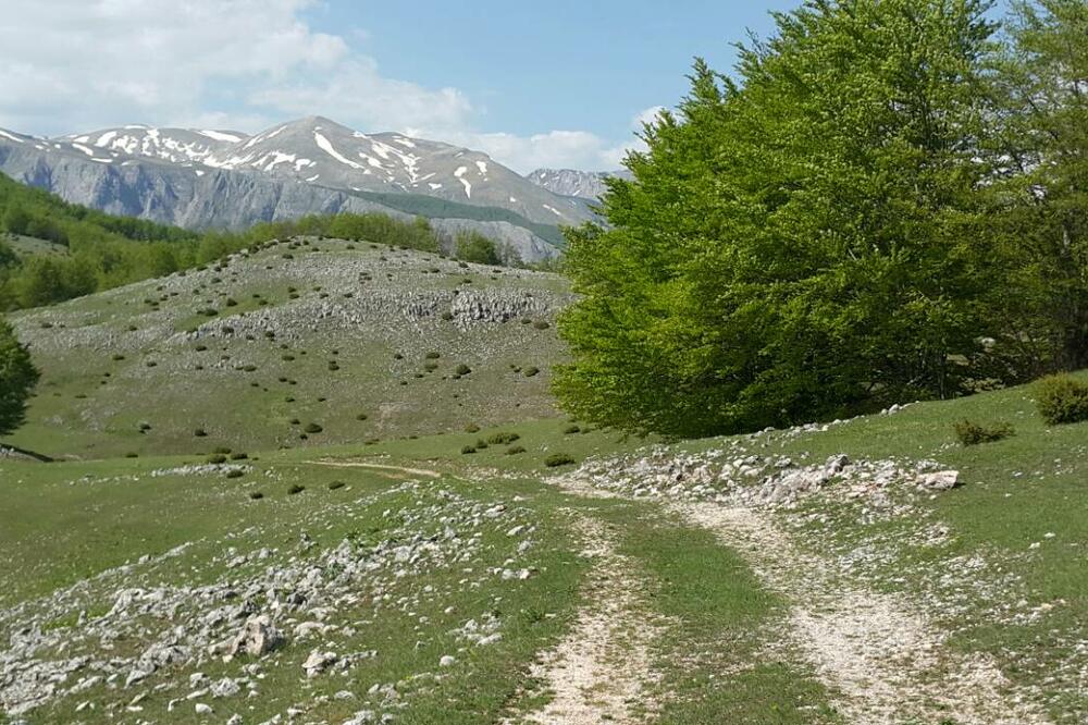 Piva, vremenska prognoza, Foto: Dušan Cicmil