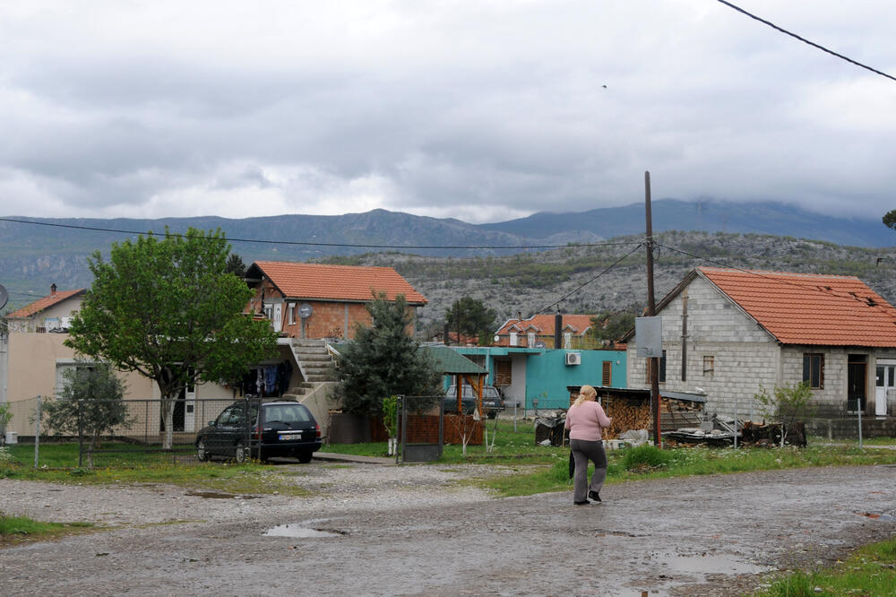 Park šuma Zagorič, Foto: Boris Pejović