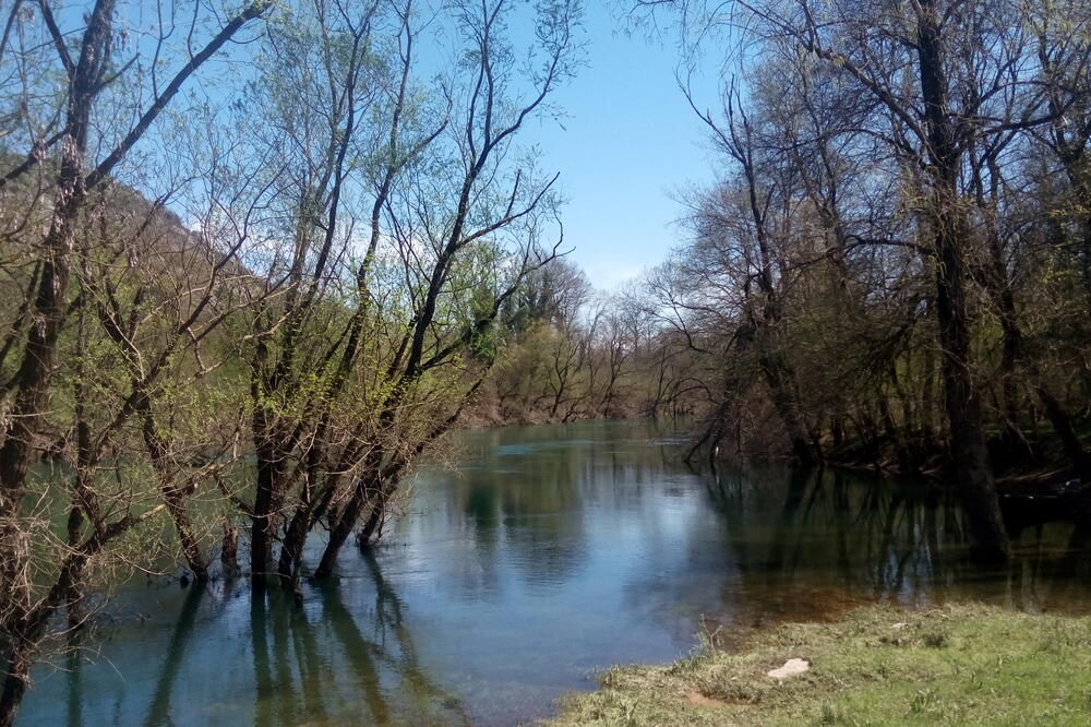 rijeka Zeta, Foto: Rada Brajović