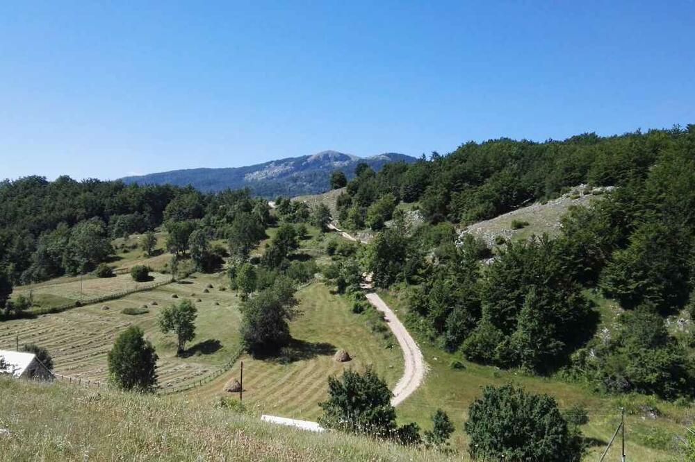 Piva, vremenska prognoza, Foto: Dušan Cicmil