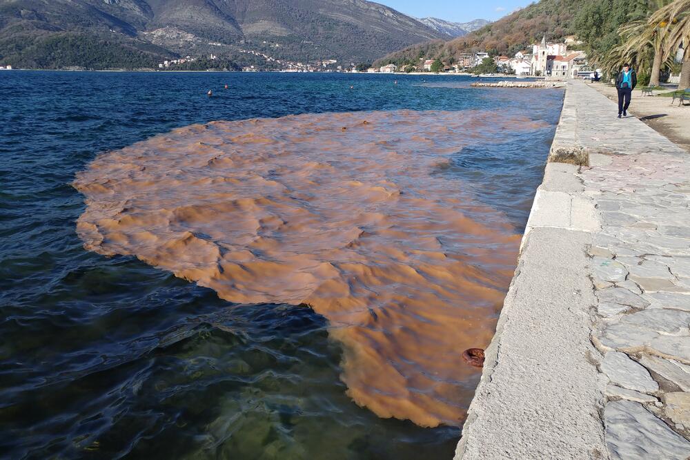 izlivanje, Donja Lastva, Foto: Siniša Luković