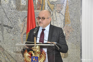 Darmanović: Crna Gora se oslanjala na diplomatiju kako bi postigla...