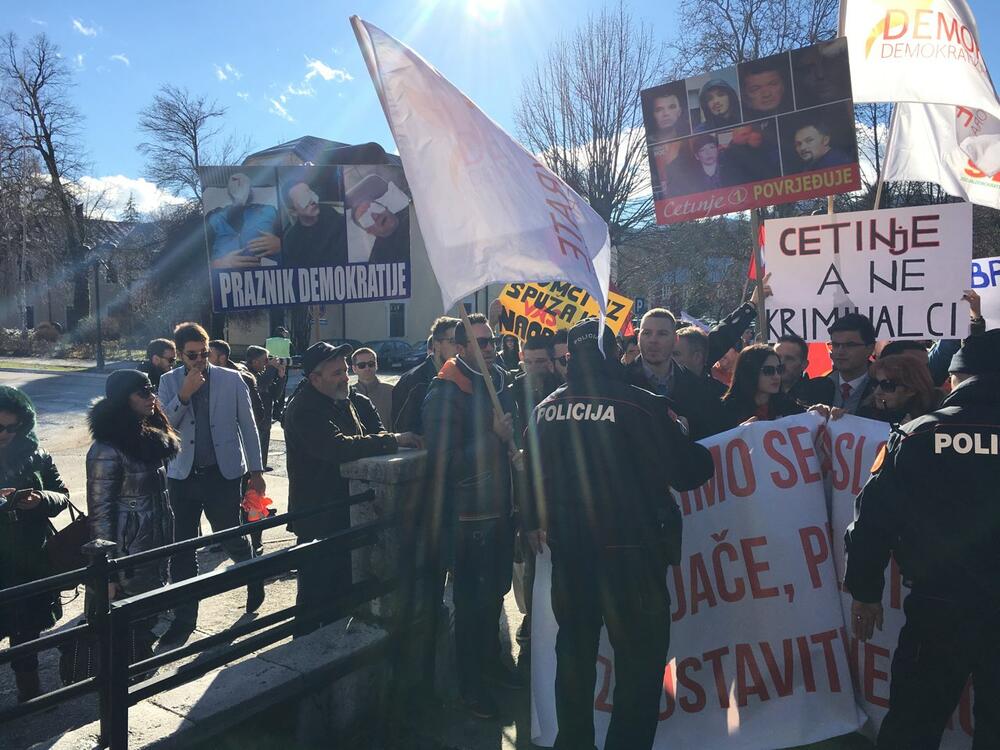 Cetinje protest