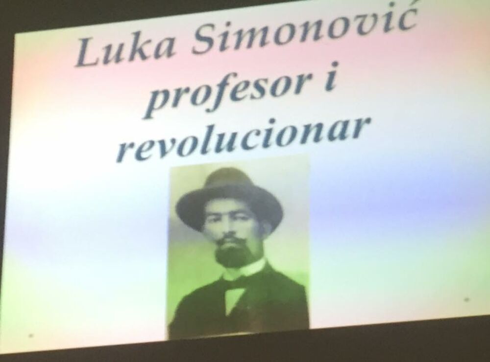 Luka Simonović