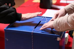 Izbori na Cetinju, Mojkovcu i Petnjici 26. novembra