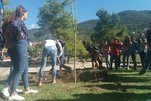 Učenici tivatskih škola sadili drveće