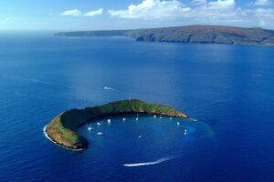 Zabranjeni raj: Ostrvo 250 ljudi i mnoštva morskih medvjedica