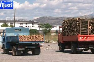 Vlada odobrila izvoz sječenog ogrijevnog drveta
