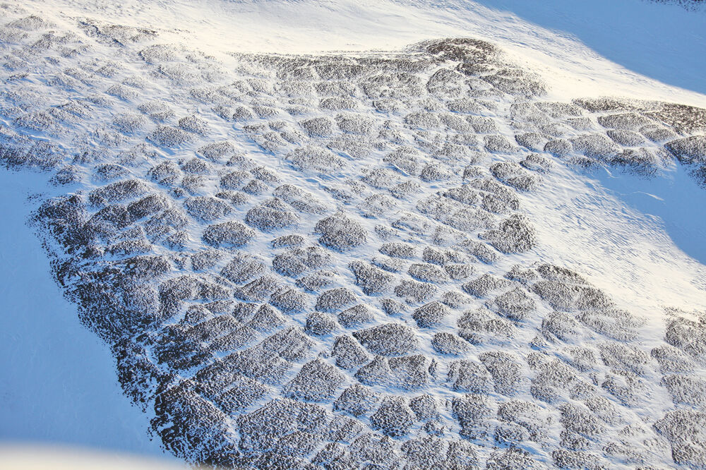 permafrost, Foto: Shutterstock.com