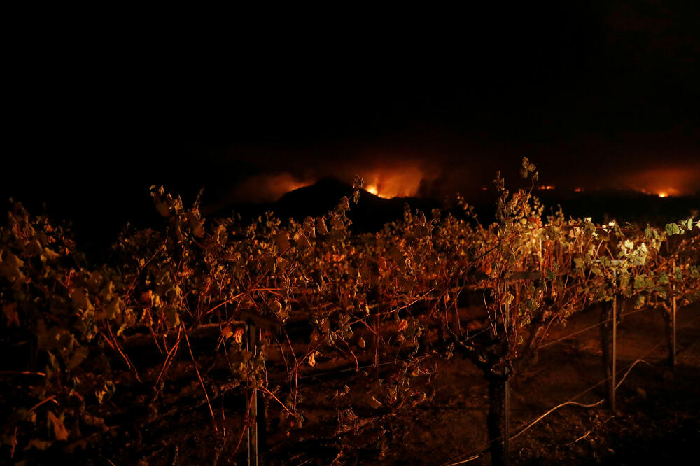 Požar u Kaliforniji, Foto: Reuters