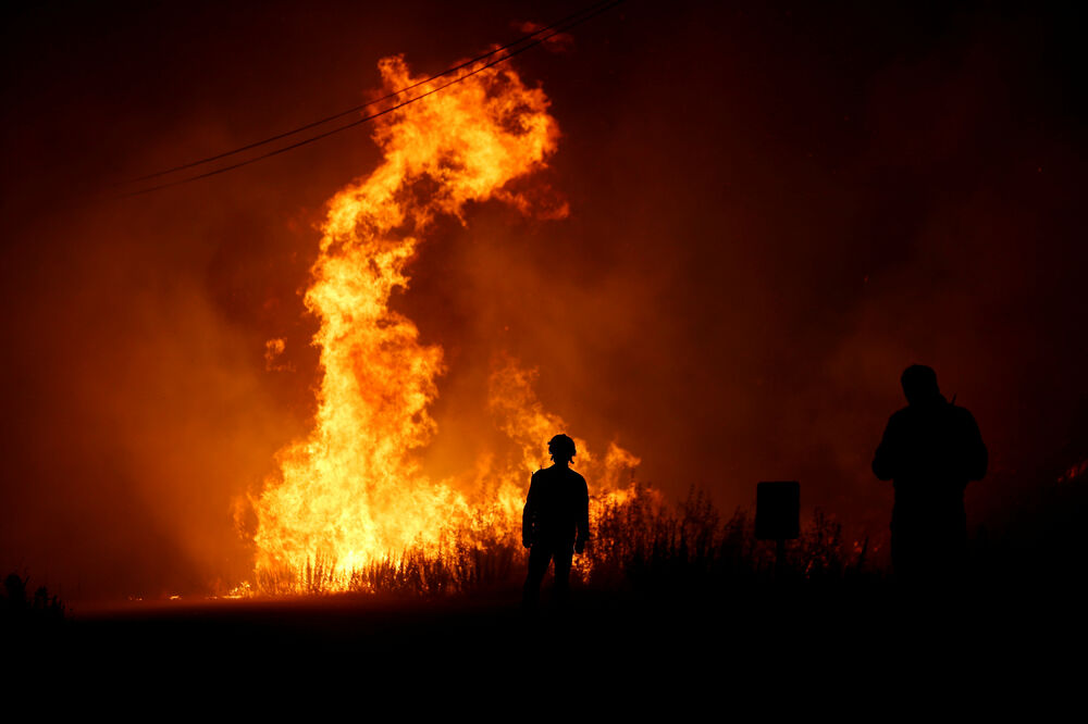 Portugalija, požar, Foto: Reuters