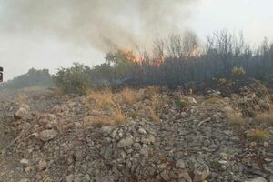 Tivat: Požar kod gradilišta golf terena Luštica bay