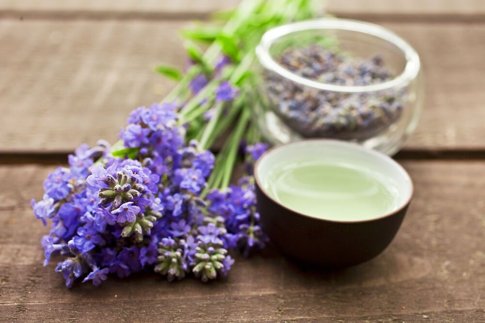 lavanda, Foto: Shutterstock