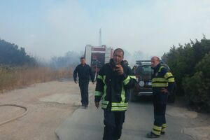 Barbić o požarima: Sa Radovićem sam se od početka zalagao za...