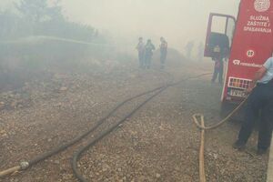 Prevencija požara u Tivtu: Pokreću akciju čišćenja pješačkih staza