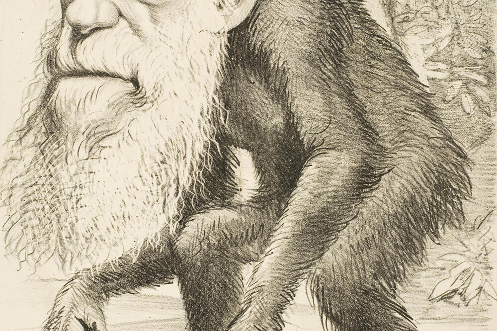 Čarls Darvin, Foto: Wikimedia Commons