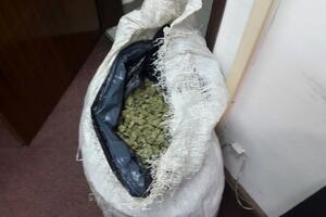 Danilovgrad: Policija u napuštenoj kući našla dva džaka skanka