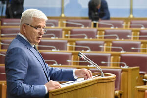 Marković: Zabrana uvoza vina Plantaža politički motivisana zbog...