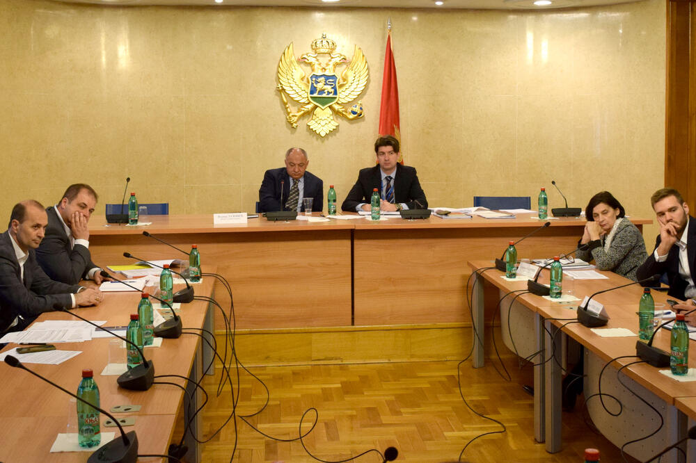 Odbor za ekonomiju, Foto: Luka Zeković