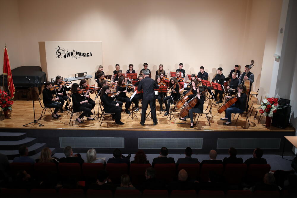 Koncert, Foto: Siniša Luković