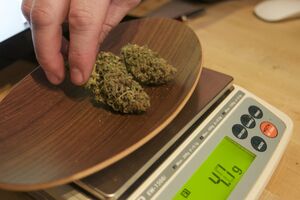 U kući Baranina našli 50 gr marihuane: Osumnjičen da se bavio...