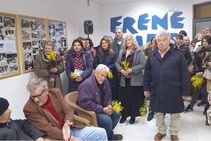 Herceg Novi: Izložba "Ako si cvijet, budi mimoza"