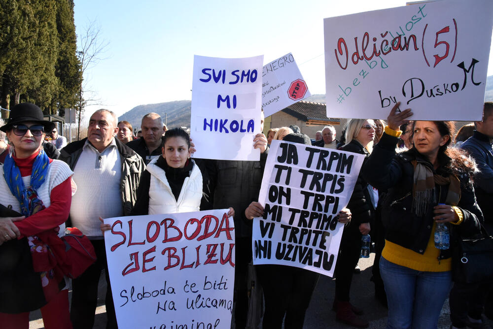 DF protestni marš, Nikola Bajčetić