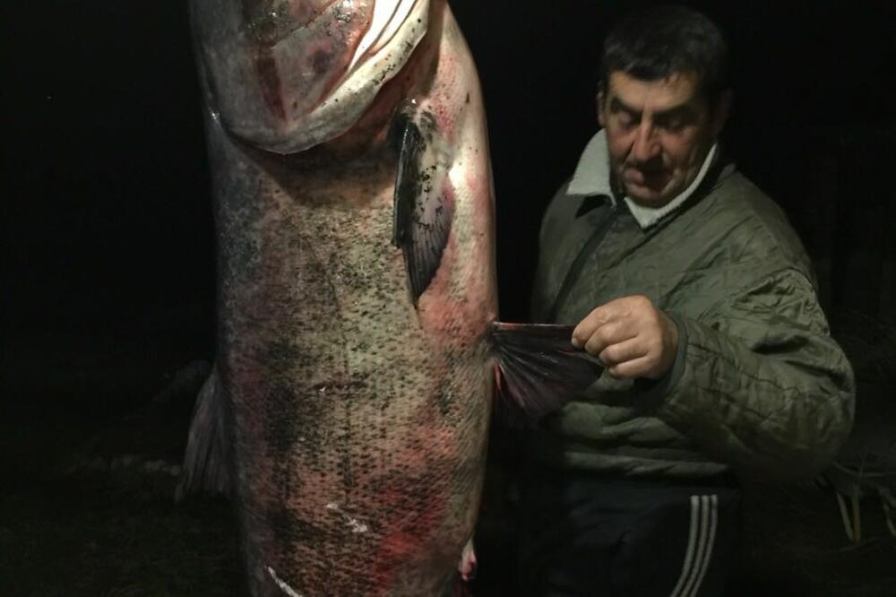 Nenad-Miško Rašović, Foto: Privatna arhiva