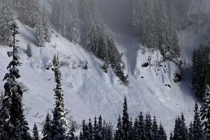 Austrija: Lavina se sa 3.000 metara obrušila na skijaše, najmanje...