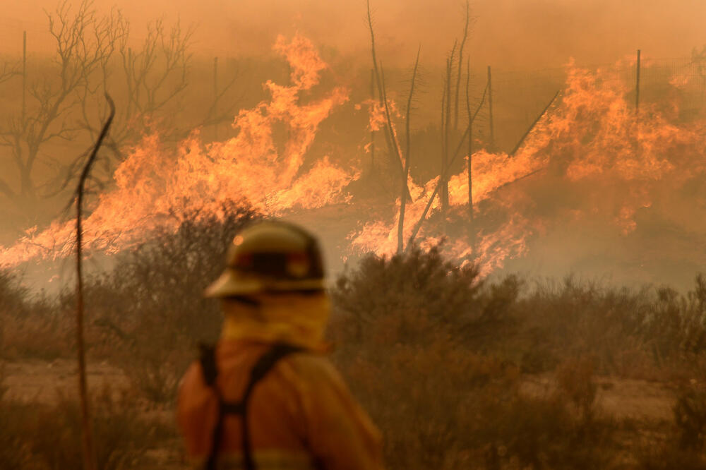 Kalifornija požar, Foto: Reuters