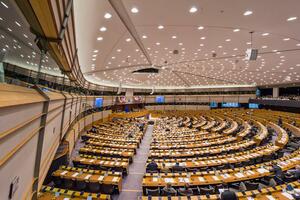 Mujo u Europskom parlamentu